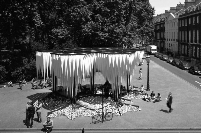 Rainforest photographed by Helene Binet